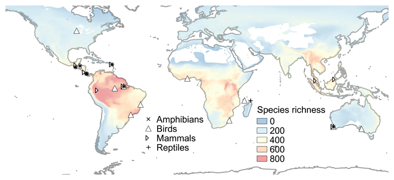 Creation Of Forest Edges Has A Global Impact On Forest Vertebrates